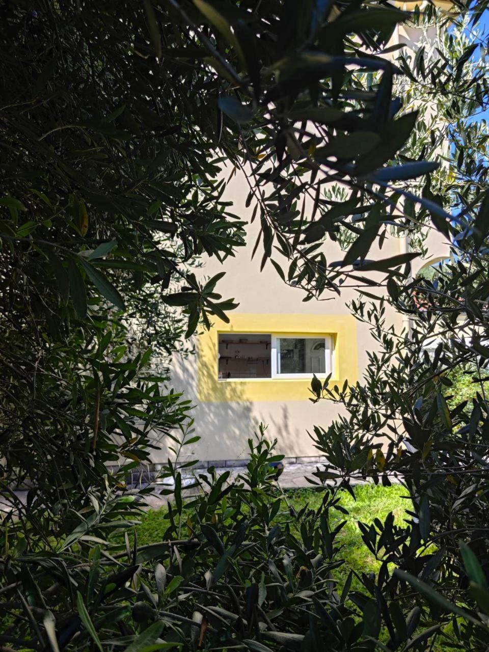 Apartmani Radovic Bijela Exteriör bild
